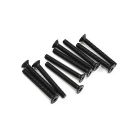 Ricambi Sworkz S35-3-4/S35-3-4E/S35GT SW108022 SWORKz FH/ST HEX Screw M3x25mm (4)