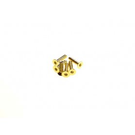 Viti Acciaio 69577 Hiro-Seiko Acciaio Testa piatta esag. M3x8 24K Gold (5)