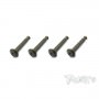 Ricambi Hot Bodies D8 / D812 / D817/D819 TO-198-HB T-WORKS 7075-T6 Hard Coated Lower Shock Mount Pins ( For HB D815 /RGT8/D81...
