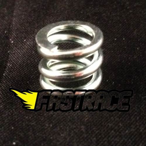 Frizioni & Campane FR-4RLY04 FastRace Ricambio MOLLA per Frizione Regolabile