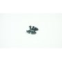 Ricambi Sworkz S35-3-4/S35-3-4E/S35GT SW106021A SWORKz Hex Soket OH/TP Set Screw M4x10mm Special (8)