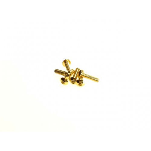 Viti Acciaio 69572 Hiro-Seiko Acciaio Testa bottone esag. M3x14 24K Gold (5)