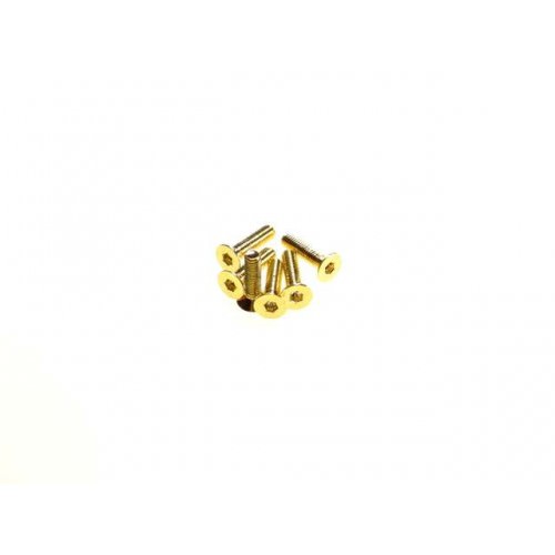 Viti Acciaio 69578 Hiro-Seiko Acciaio Testa piatta esag. M3x10 24K Gold (5)