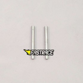 Ricambi FastRace GT-R10 R15 FR2024 FastRace perni bracci post. (2) GT-R15