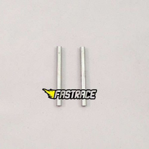 Ricambi FastRace GT-R10 R15 FR2024 FastRace perni bracci post. (2) GT-R15