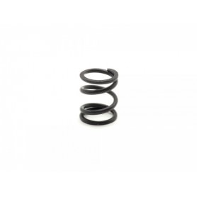 Ricambi Sworkz S35-3-4/S35-3-4E/S35GT SW115058 SWORKz Servo Saver Spring
