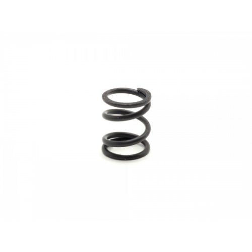 Ricambi Sworkz S35-3-4/S35-3-4E/S35GT SW115058 SWORKz Servo Saver Spring
