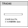 Ricambi TEAM C TC02 - TM2 - TC04 TR4046 TeamC 2.5X30 Arm Pin (2)