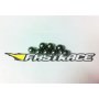 Ricambi FastRace GT-R10 R15 FR1029G Sfere in acciaio Diff. Ant. R10 R15(8pz)