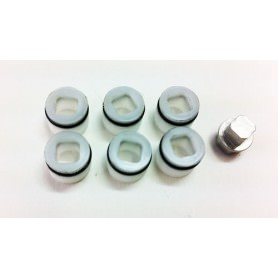 Ricambi FastRace GT-R10 R15 FR-OPT24-GT SET Grani registro post. Light in Delrin R10 R15 (6+1)