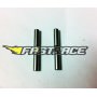 Ricambi FastRace GT-R10 R15 FR1090C Crociere Diff. Post. R10 R15 (2)